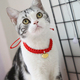 猫咪长命锁项圈可爱猫项圈小猫项链宠物饰品用品手工编织原创设计