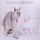小猫牵引绳网红防挣脱幼猫奶猫一斤遛猫绳可调节牵引绳猫咪项圈