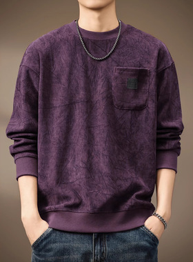 高端重磅德澳绒保暖圆领卫衣男秋冬加绒印花宽松长袖紫色打底衫男