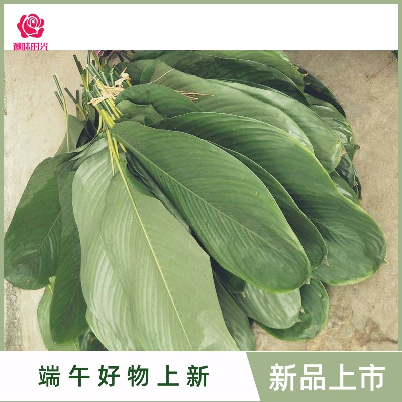 海南粽子叶儋州大粽叶新鲜柊叶现摘一把50张左右大小号同广西棕叶_虎窝淘
