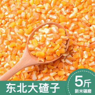 2024新玉米渣大小碴子50g5斤农家笨碴子苞米糁棒子糁粗粮五谷杂粮