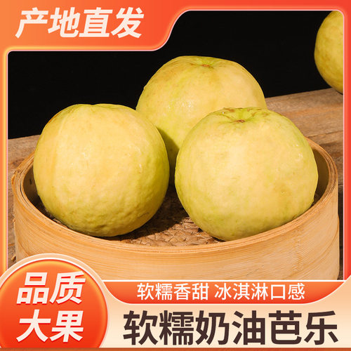 新鲜软心番石榴8斤广东鸡屎果