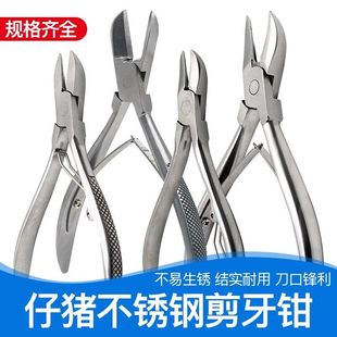 小猪剪牙钳仔猪断牙牙剪兽用猪用剪牙器仓鼠不锈钢兔子斜口齿剪子