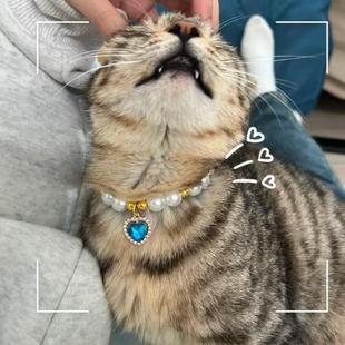 猫咪珍珠项圈猫咪项链宠物用品装饰复古宝石德文阿比西尼亚猫饰品