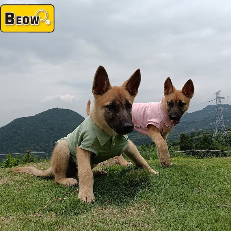 贝欧beow夏季宠物狗狗衣服防晒透