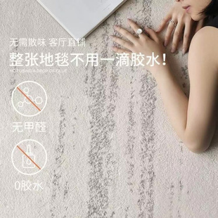 极简客厅轻奢高级感卧室床边 无胶地毯防水抗污月光宝石无甲醛意式