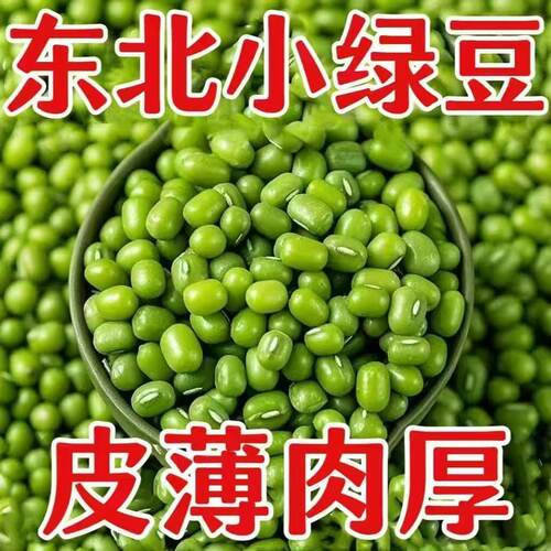【超划算】精选新鲜农家绿豆可发芽绿豆粥高出沙肉多皮薄杂粮新货