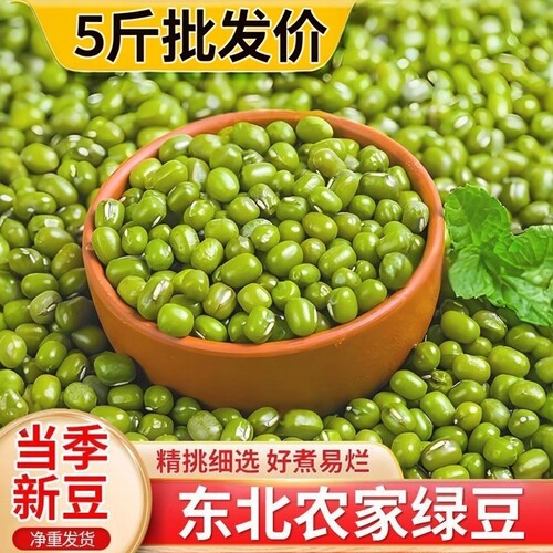 【5斤批发】东北农家新鲜绿豆可发芽粮油颗粒饱满皮薄杂粮绿豆汤