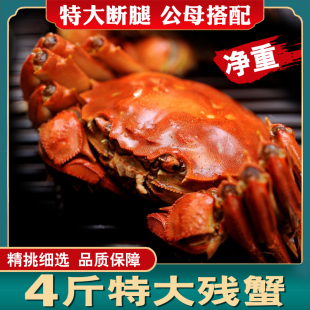4斤断腿断脚蟹大纵湖大闸蟹特大残次鲜活螃蟹公3.5 3.5 4.3母2.5