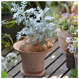 特价复古喇叭口竖纹红陶土透气花盆 个性简约大口径阳台花园装饰