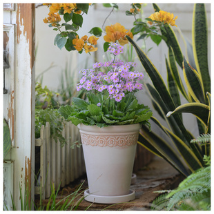 雾化白花边高款浮雕陶土花盆 简约透气朱顶红兰花绿植盆栽带托盘