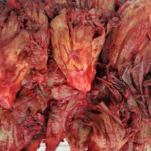 福建古田特产农家自制红酒糟老坛酸菜 酸菜糟菜纯手工无添加500克