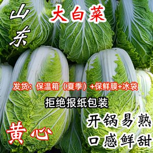 白菜新鲜山东胶州大白菜时令蔬菜农家种植鲜甜营养包心娃娃菜青菜