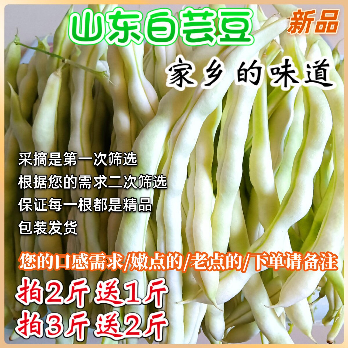 白芸豆新鲜采摘山东寿光豆角蔬菜四季豆白不老豆角老来少芸豆米豆
