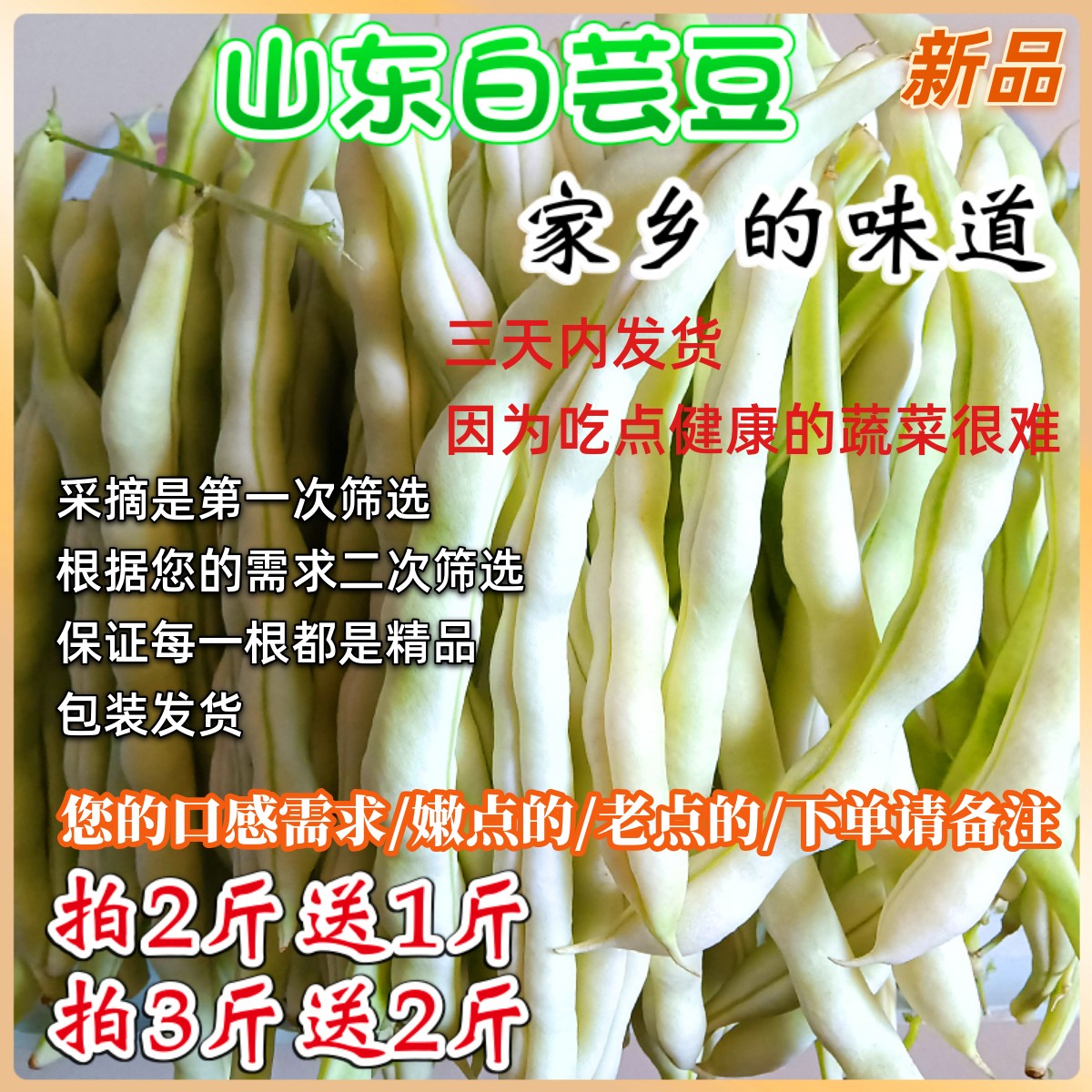 芸豆新鲜山东寿光蔬菜白不老
