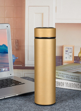 500ML Hot Water Thermos Tea Vacuum Flask With Filter Stainle