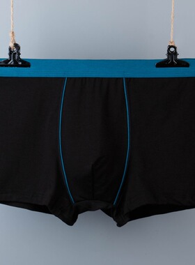 Cotton Plus Size Boxers Boxer For Men Briefs Underpants Mens
