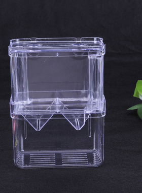 AcrylicFishTankBreed