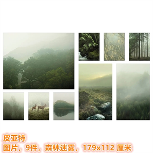 IKEA宜家 皮亚特 装饰画图片9件森林迷雾背景墙墙壁风景图挂画