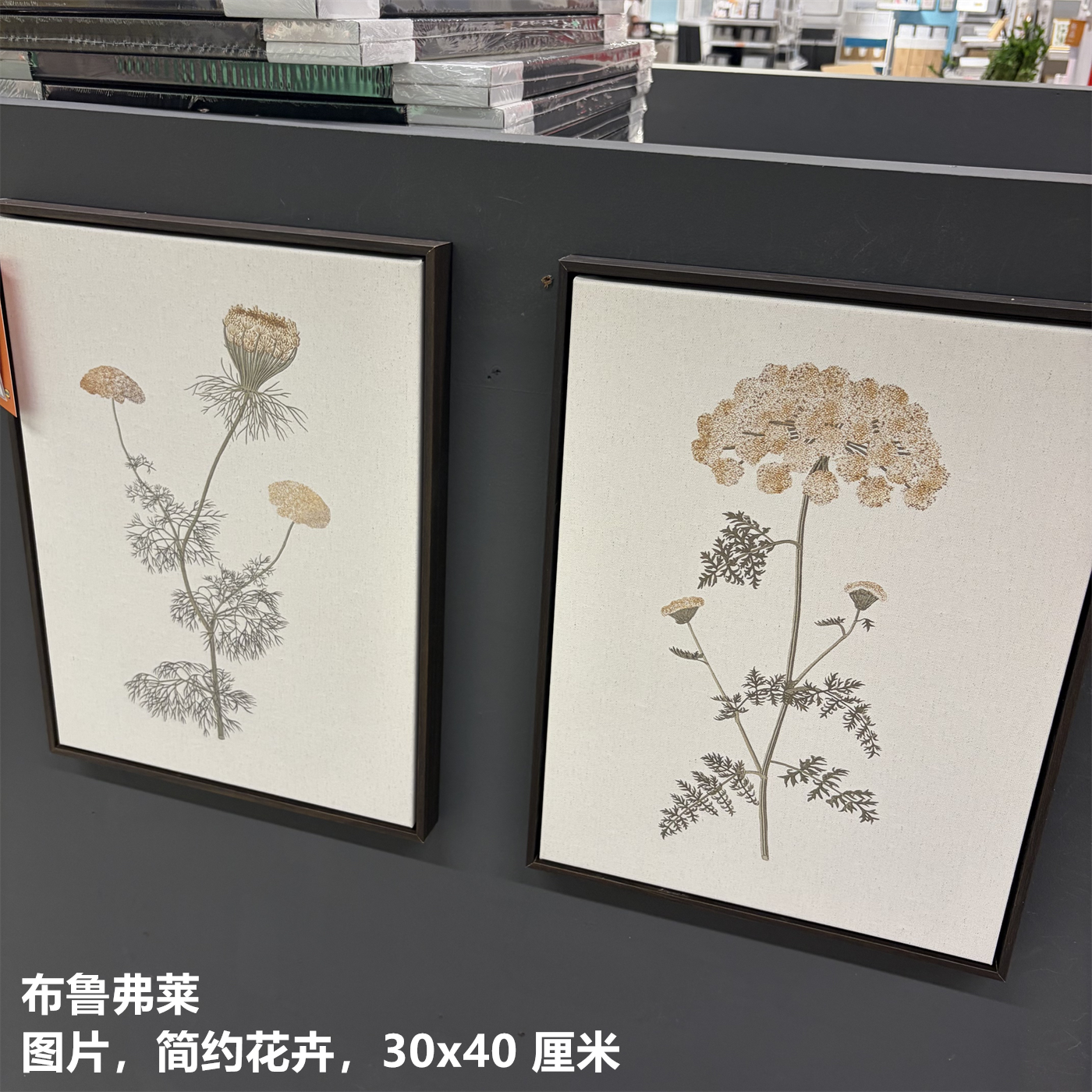 IKEA宜家 布鲁弗莱 图片墙壁装饰画框挂画简约花卉图案30x40 厘米