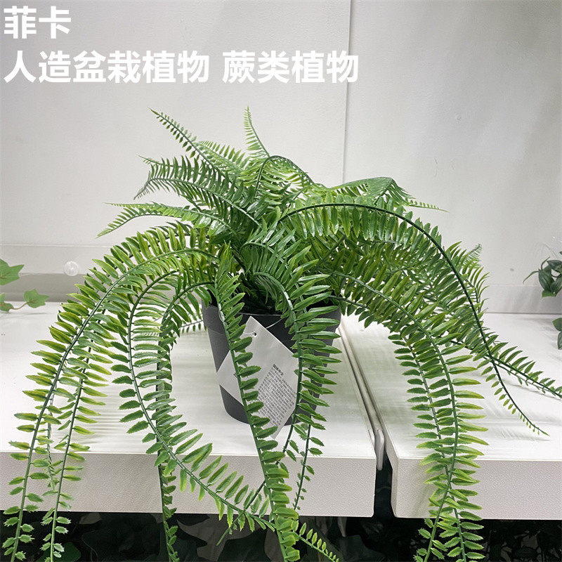 IKEA宜家 菲卡 人造盆栽植物仿真蕨类植物家居公司装饰绿植假花