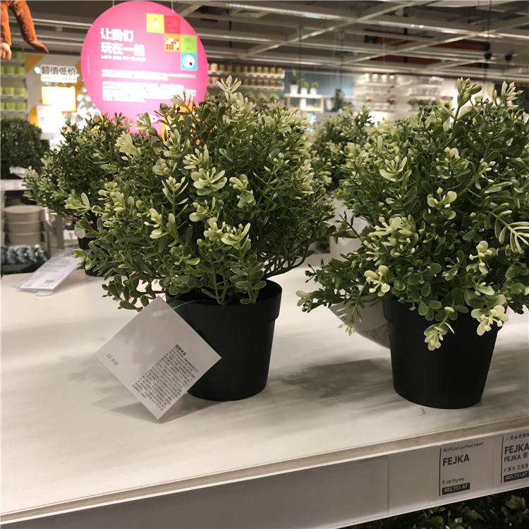 IKEA宜家人造绿植菲卡百里香装饰