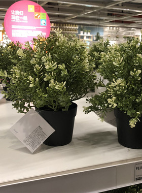 IKEA宜家人造绿植菲卡百里香装饰