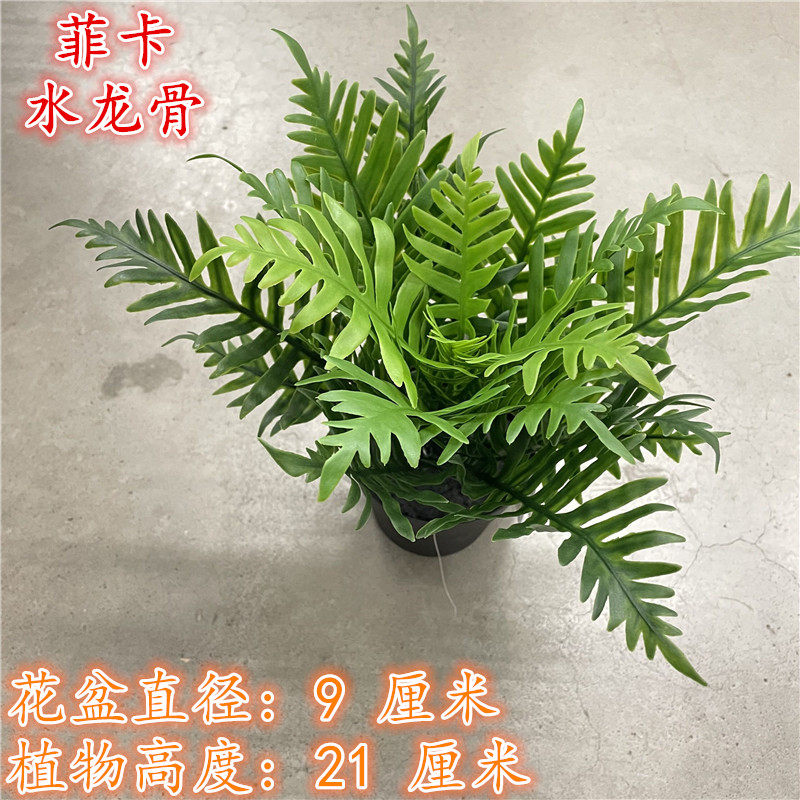 IKEA宜家 菲卡 仿真绿植水龙骨人造植物盆栽家居公司装饰假草绿油