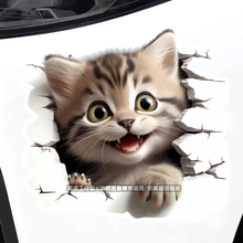卡通小猫咪装饰车贴纸摩托电动汽车身划痕遮挡房间马桶门墙3d贴画