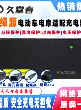 绿源电动车电瓶适配充电器48V20E60V30E72伏3安2T反接96V50AH两孔