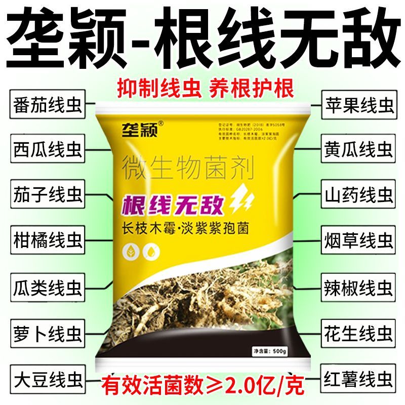 农用根结线虫专用药淡紫紫孢菌根结根瘤杀菌根线灵地下根通用菌剂