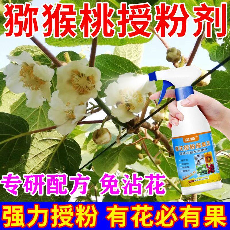 猕猴桃有机授粉精平衡花粉量图片