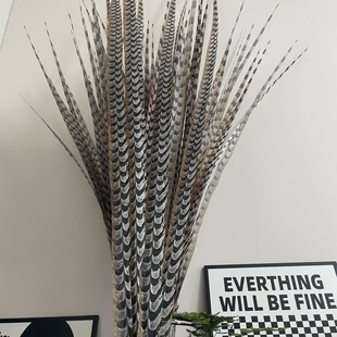 仿真京剧雉翎舞蹈头饰地羽俏花旦羽毛道具羽毛舞蹈道具英歌鸡毛