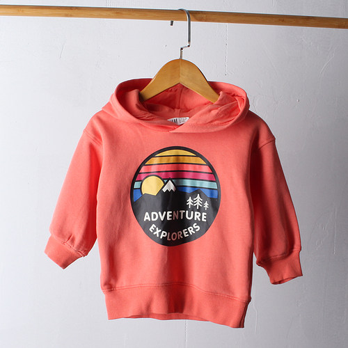 卫衣童装外贸女童春秋连帽套头