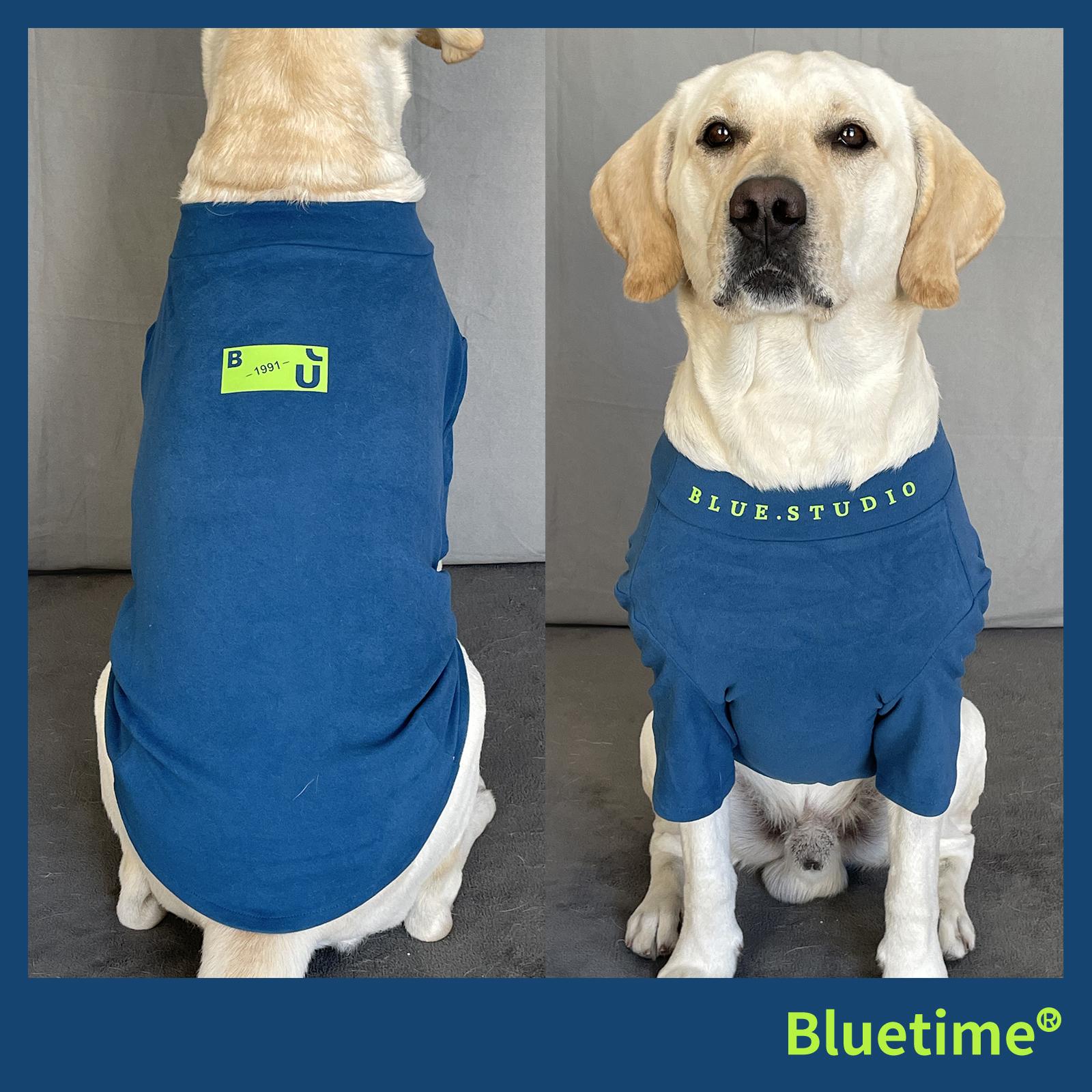 bluetime宠物德绒纯色打底衫简约