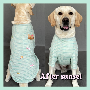 薄款 夏日海岛 拉布拉多边牧T恤大型犬春夏装 大狗狗夏装 2025新款