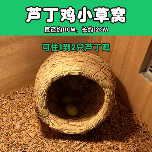 芦丁鸡造景饲养箱装饰用品全套围栏小桌子平台隔断实木小房子草窝