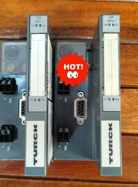 {议价}正品  图尔克  BL20-GW- DPV1  6827