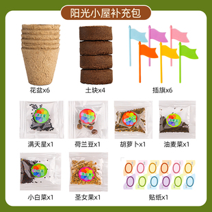 阳光房种植补充包内含6款种子4土块6杯子6插旗