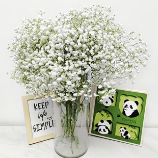 A级白色满天星2斤鲜花批发新鲜发货云南基地直发买一斤送一斤