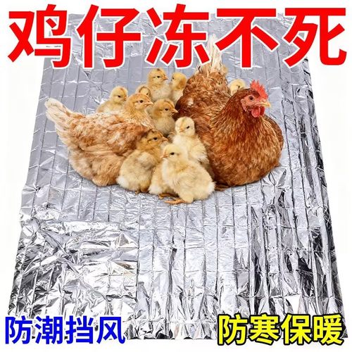 鸡窝冬季保暖小鸡鸡舍保温毯防寒毯宠物育雏升温垫子鸡鸭鹅小猪用