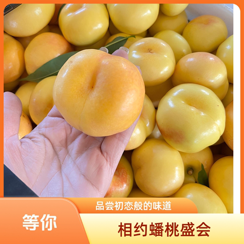 黄油蟠桃新鲜水果现摘奶油蟠桃