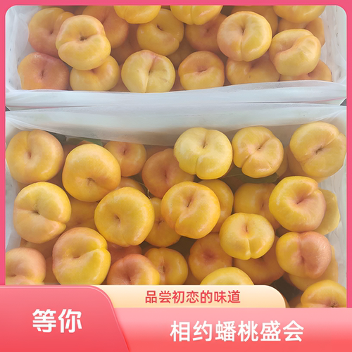 黄油蟠桃新鲜水果现摘黄金蟠桃