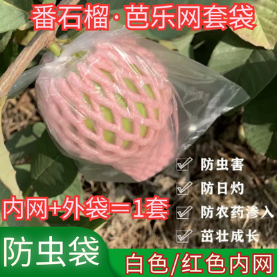 芭乐套袋番石榴套袋水果专用袋网套袋石榴防虫包装套袋番石榴袋子