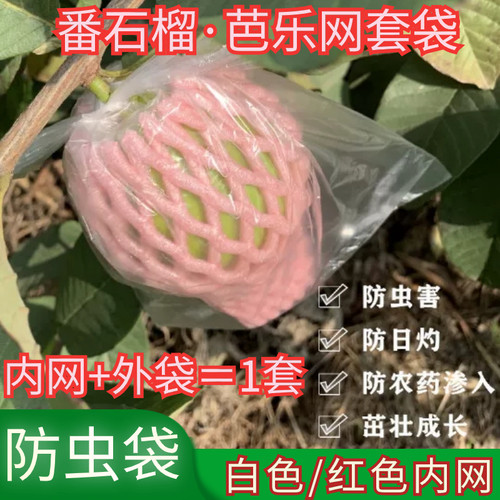 芭乐套袋番石榴套袋水果专用袋网套袋石榴防虫包装套袋番石榴袋子