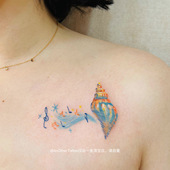 AnOther Tattoo彩色蜡笔海洋度假海螺音乐少女纹身贴买一送一防水
