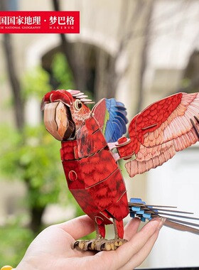 中国国家地理梦巴格红绿金刚鹦鹉自然科普儿童手工立体纸模型玩具