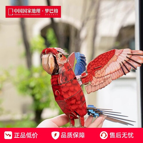 鸟类红绿金刚鹦鹉自然科普