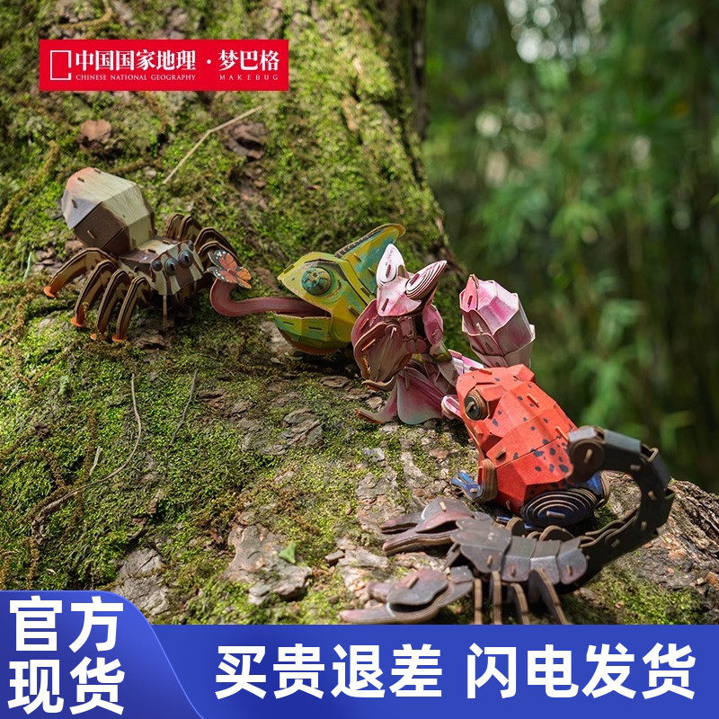 中国国家地理梦巴格 雨林小怪系列 立体拼装纸模 摆件手办礼物diy