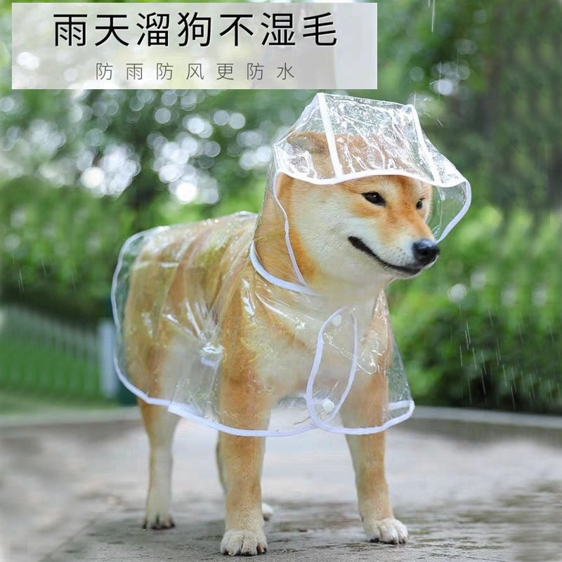 狗狗雨衣小型犬泰迪柯基博美金毛大型犬雨披宠物用品猫咪法斗衣服
